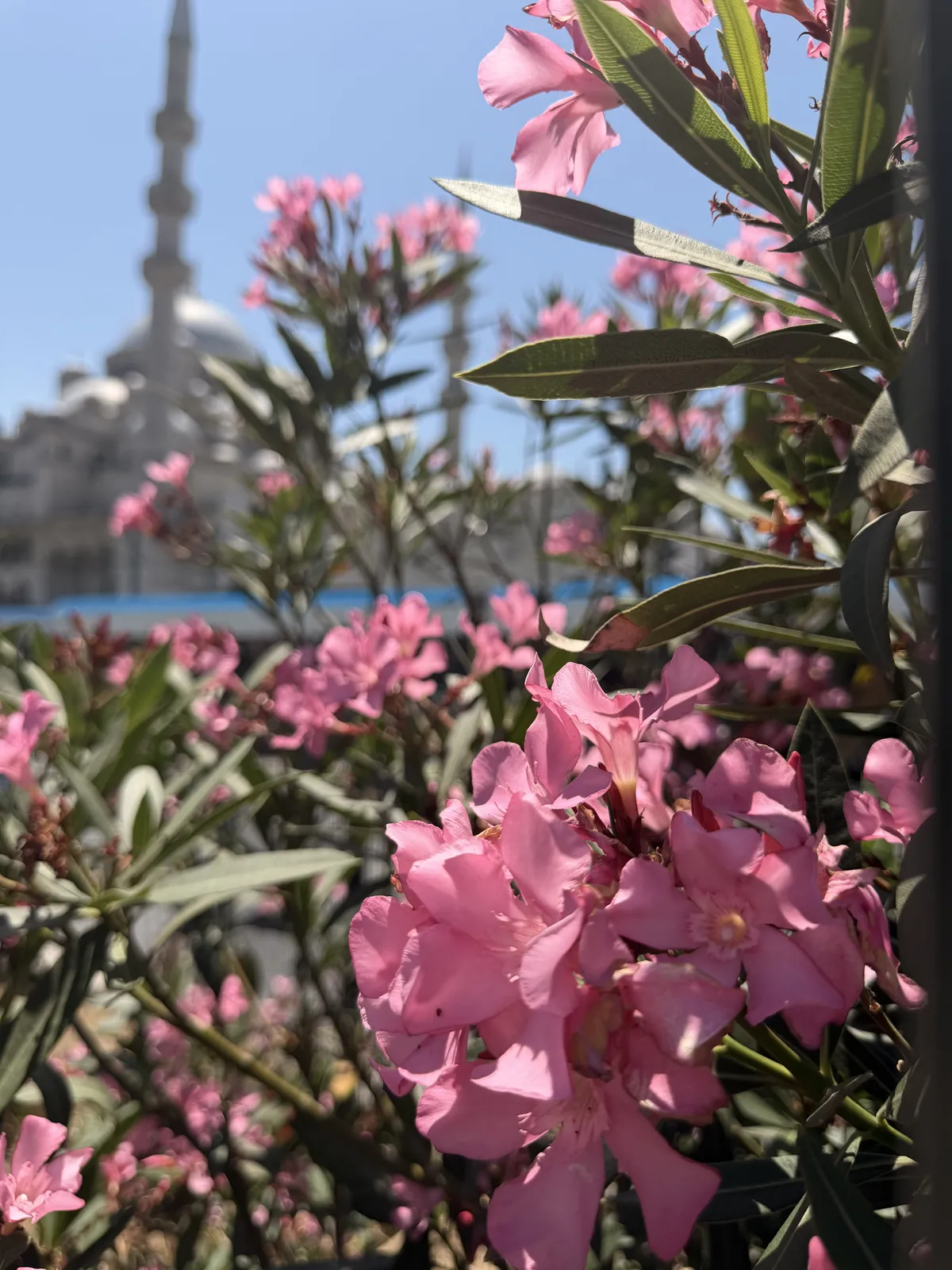 Campus life in Istanbul