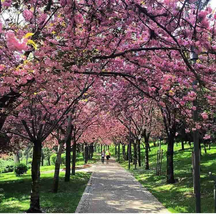 City highlights in Ankara